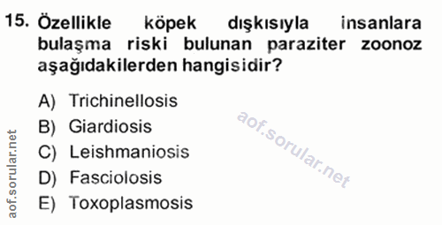15. soru: Özellikle köpek dışkısıyla insanlara bulaşma riski bulunan paraziter zoonoz aşağıdakilerden hangisidir? A) Trichinell…