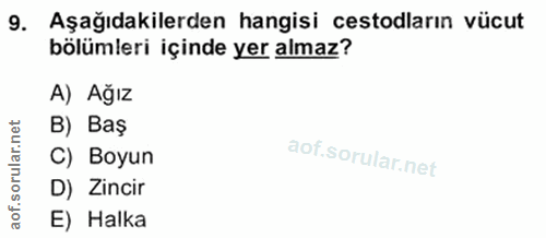 9. soru: Aşağıdakilerden hangisi cestodların vücut bölümleri içinde yer almaz? A) Ağız lar.net B) Baş C) Boyun D) Zincir aof.…