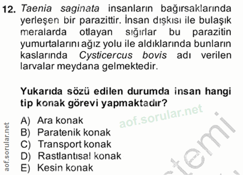 12. soru: Taenia saginata insanların bağırsaklarında yerleşen bir parazittir. Insan dışkısı ile bulaşık meralarda otlayan sığır…