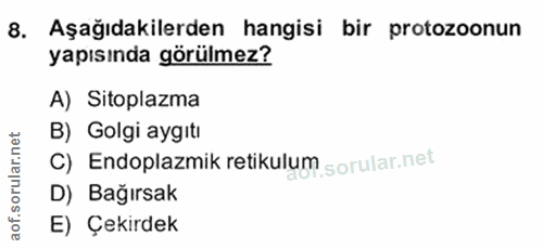 8. soru: Aşağıdakilerden hangisi bir protozoonun yapısında görülmez? A) Sitoplazma B) Golgi aygıtı C) Endoplazmik retikulum D)…