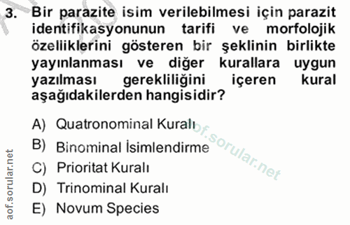 3. soru: Bir parazite isim verilebilmesi için parazit identifikasyonunun tarifi ve morfolojik özelliklerini gösteren bir şekli…