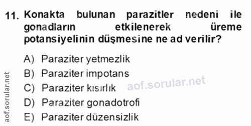 11. soru: Konakta bulunan parazitler nedeni ile gonadiarın etkilenerek üreme potansiyelinin düşmesine ne ad verilir? A) Parazit…