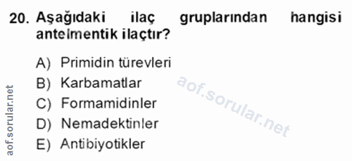 20. soru: Aşağıdaki ilaç gruplarından hangisi anteimentik ilaçtır? A) Primidin türevleri B) Karbamatlar C) Formamidinler D) Nem…