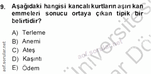 9. soru: Aşağıdaki hangisi kancalı kurtların aşırı kan emmeleri sonucu ortaya çıkan tipik bir belirtidir? A) Terleme B) Anemi…