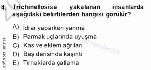4. soru: Trichinellosise yakalanan insanlarda aşağıdaki belirtilerden hangisi görülür? A) İdrar yaparken yanma B) Parmak uçlar…