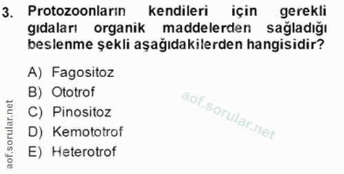 3. soru: Protozoonların kendileri için gerekli gidaları organik maddelerden sağladığı beslenme şekli aşağıdakilerden hangisidi…
