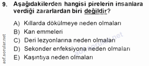 9. soru: Aşağıdakilerden hangisi pirelerin insaniara verdiği zararlardan biri değildir? A) Kıllarda dökülmeye neden olmaları B…