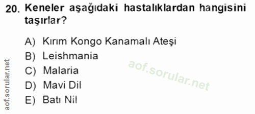 20. soru: Keneler aşağıdaki hastalıklardan hangisini taşırlar? A) Kırım Kongo Kanamalı Ateşi B) Leishmania C) Malaria D) Mavi D…