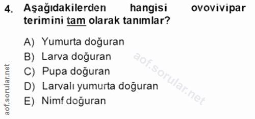 4. soru: Aşağıdakilerden hangisi ovovivipar terimini tam olarak tanımlar? A) Yumurta doğuran B) Larva doğuran C) Pupa doğuran…
