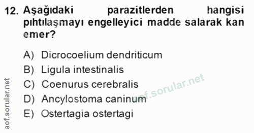 12. soru: Aşağıdaki parazitlerden hangisi pıhtılaşmayı engelleyici madde salarak kan emer? A) Dicrocoelium dendriticum B) Ligul…