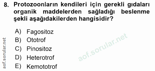 8. soru: Protozoonların kendileri için gerekli gıdaları organik maddelerden sagladığı beslenme şekli aşağıdakilerden hangisidi…