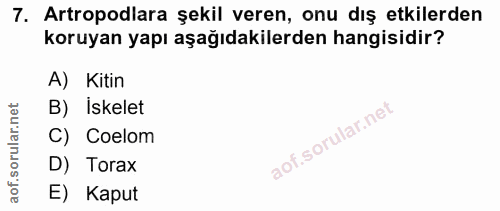 7. soru: Artropodlara şekil veren, onu dış etkilerden koruyan yapı aşağıdakilerden hangisidir? A) Kitin B) İskelet C) Coelom D…