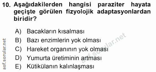10. soru: Aşağıdakilerden hangisi paraziter hayata geçişte görülen fizyolojik adaptasyonlardan biridir? A) Bacakların kısalması…