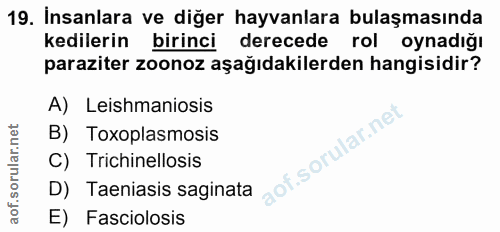 19. soru: İnsanlara ve diğer hayvanlara bulaşmasında kedilerin birinci derecede rol oynadığı paraziter zoonoz aşağıdakilerden h…