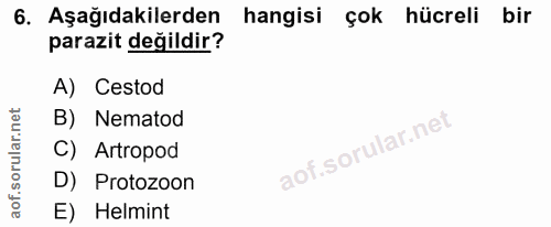 6. soru: Aşağıdakilerden hangisi çok hücreli bir parazit değildir? A) Cestod B) Nematod C) Artropod D) Protozoon E) Helmint