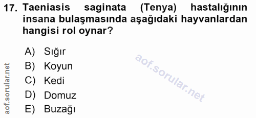 17. soru: Taeniasis saginata (Tenya) hastalıgının insana bulaşmasında aşağıdaki hayvanlardan hangisi rol oynar? A) Sığır B) Koy…