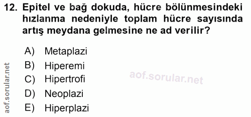 12. soru: Epitel ve bağ dokuda, hücre bölünmesindeki hızlanma nedeniyle toplam hücre sayısında artış meydana gelmesine ne ad ve…