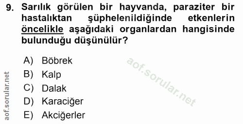 9. soru: Sarılık görülen bir hayvanda, paraziter bir hastalıktan şüphelenildiğinde etkenlerin öncelikle aşağıdaki organlardan…