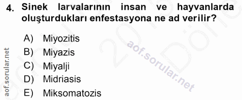 4. soru: Sinek larvalarının insan ve hayvanlarda oluşturdukları enfestasyona ne ad verilir? A) Miyozitis Miyazis C) Miyalji D)…