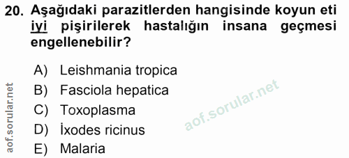 20. soru: Aşağıdaki parazitlerden hangisinde koyun eti iyi pişirilerek hastalığın insana geçmesi engellenebilir? A) Leishmania…