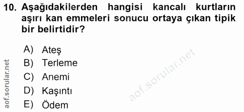 10. soru: Aşağıdakilerden hangisi kancalı kurtların aşırı kan emmeleri sonucu ortaya çıkan tipik bir belirtidir? A) Ateş B) Ter…