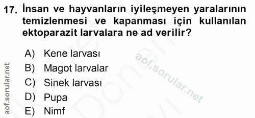 17. soru: İnsan ve hayvanların iyileşmeyen yaralarının temizlenmesi ve kapanması için kullanılan ektoparazit larvalara ne ad ve…
