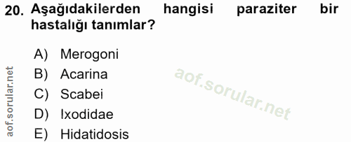 20. soru: Aşağıdakilerden hangisi paraziter bir hastalığı tanımlar? A) Merogoni B) Acarina C) Scabei D) Ixodidae E) Hidatidosis
