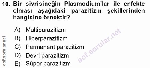 10. soru: Bir sivrisineğin Plasmodium'lar ile enfekte olması aşağıdaki parazitizm şekillerinden hangisine örnektir? A) Multipar…