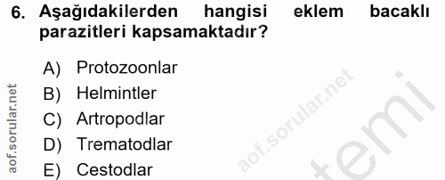 6. soru: Aşağıdakilerden hangisi eklem bacaklı parazitleri kapsamaktadır? A) Protozoonlar B) Helmintler llar.ne C) Artropodlar…