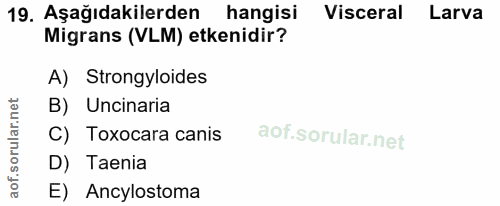 19. soru: Aşağıdakilerden hangisi Visceral Larva Migrans (VLM) etkenidir? A) Strongyloides B) Uncinaria C) Toxocara canis D) Ta…