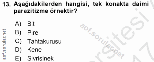 13. soru: Aşağıdakilerden hangisi, tek konakta daimi parazitizme örnektir? A) Bit B) Pire Tahtakurusu D) Kene E) Sivrisinek