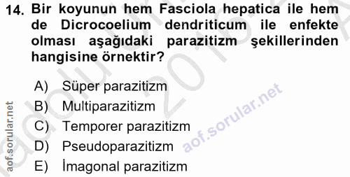 14. soru: Bir koyunun hem Fasciola hepatica ile hem de Dicrocoelium dendriticum ile enfekte olması aşağıdaki parazitizm şekılle…