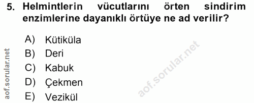 5. soru: Helmintlerin vücutlarını örten sindirim enzimlerine dayanıklı örtüye ne ad verilir? A) Kütiküla B) Deri C) Kabuk D) Ç…