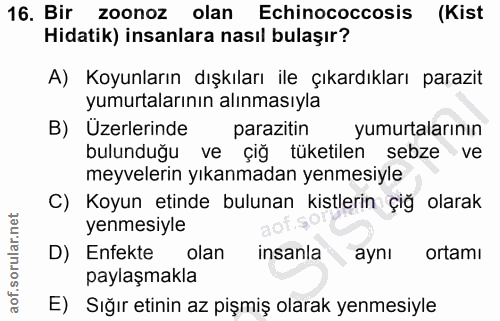 16. soru: Bir zoonoz olan Echinococcosis (Kist Hidatik) insanlara nasıl bulaşır? A) Koyunların dışkıları ile çıkardıkları paraz…