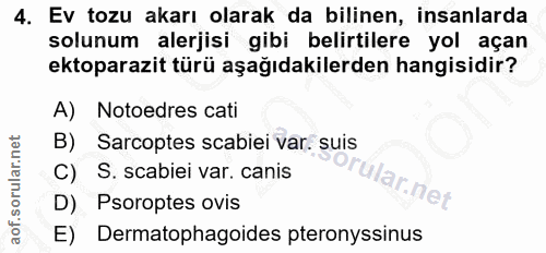 4. soru: Ev tozu akarı olarak da bilinen, insanlarda solunum alerjisi gibi belirtilere yol açan ektoparazit türü aşağıdakilerd…