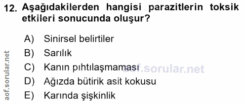 12. soru: Aşağıdakilerden hangisi parazitlerin toksik etkileri sonucunda oluşur? A) Sinirsel belirtiler B) Sarılık C) Kanın pıh…
