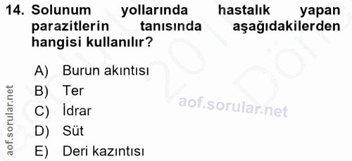 14. soru: Solunum yollarında hastalık yapan parazitlerin tanısında aşağıdakilerden hangisi kullanılır? A) Burun akıntısı B) Ter…