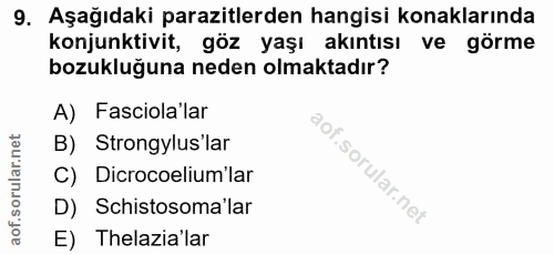 9. soru: Aşağıdaki parazitlerden hangisi konaklarında konjunktivit, göz yaşı akıntısı ve görme bozukluğuna neden olmaktadır? A…