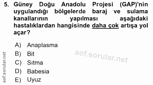 5. soru: Güney Doğu Anadolu Projesi (GAP)'nin uygulandığı bölgelerde baraj ve sulama kanallarının yapılması aşağıdaki hastalık…