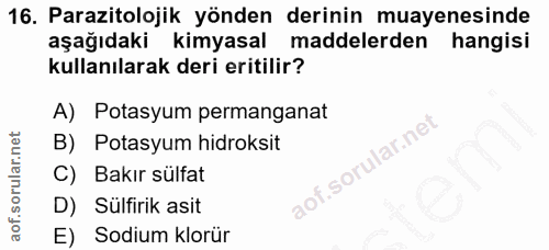 16. soru: Parazitolojik yönden derinin muayenesinde aşağıdakı kimyasal maddelerden hangisi kullanılarak deri eritilir? A) Potas…