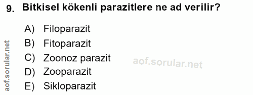 9. soru: Bitkisel kökenli parazitlere ne ad verilir? A) Filoparazit rular.net B) Fitoparazit C) Zoonoz parazit of.s D) Zoopara…