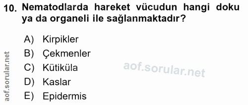 10. soru: Nematodlarda hareket vücudun hangi doku ya da organeli ile sağlanmaktadır? A) Kirpikler B) Çekmenler rular.n C) Kütik…