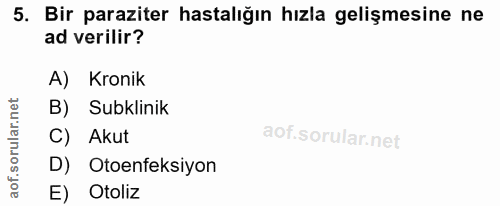 5. soru: Bir paraziter hastalığın hızla gelişmesine ne ad verilir? A) Kronik B) Subklinik orular. C) Akut aof.s D) Otoenfeksiy…
