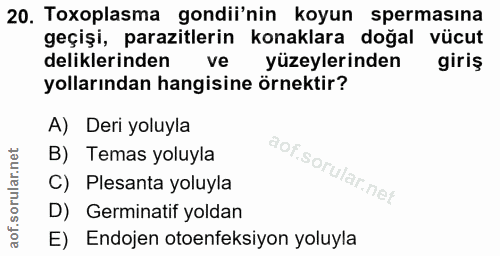 20. soru: Toxoplasma gondii'nin koyun spermasına geçişi, parazitlerin konaklara doğal vücut deliklerinden ve yüzeylerinden giri…