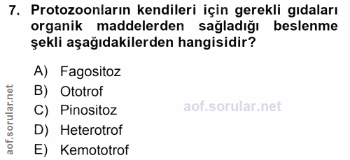 7. soru: Protozoonların kendileri için gerekli gıdaları organik maddelerden sağladığı beslenme şekli aşağıdakilerden hangisidi…