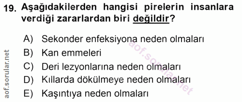 19. soru: Aşağıdakilerden hangisi pirelerin insanlara verdiği zararlardan biri değildir? A) Sekonder enfeksiyona neden olmaları…