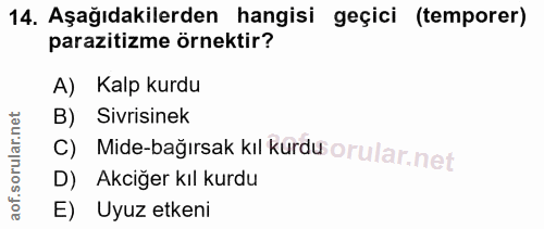 14. soru: Aşağıdakilerden hangisi geçici (temporer) parazitizme örnektir? A) Kalp kurdu B) Sivrisinek C) Mide-bağırsak kıl kurd…