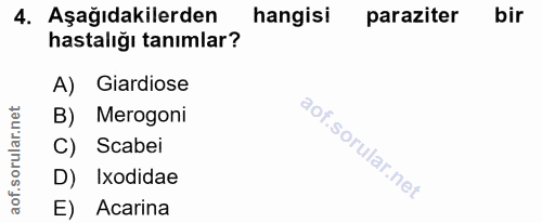 4. soru: Aşağıdakilerden hangisi paraziter bir hastalığı tanımlar? A) Giardiose B) Merogoni C) Scabei D) Ixodidae E) Acarina