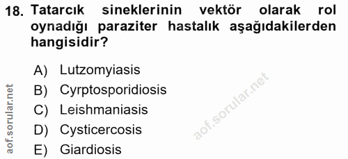 18. soru: Tatarcık sineklerinin vektör olarak rol oynadığı paraziter hastalık aşağıdakilerden hangisidir? A) Lutzomyiasis B) Cy…