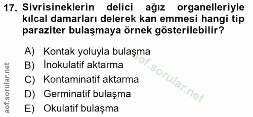 17. soru: Sivrisineklerin delici ağız organelleriyle kılcal damarları delerek kan emmesi hangi tip paraziter bulaşmaya örnek gö…